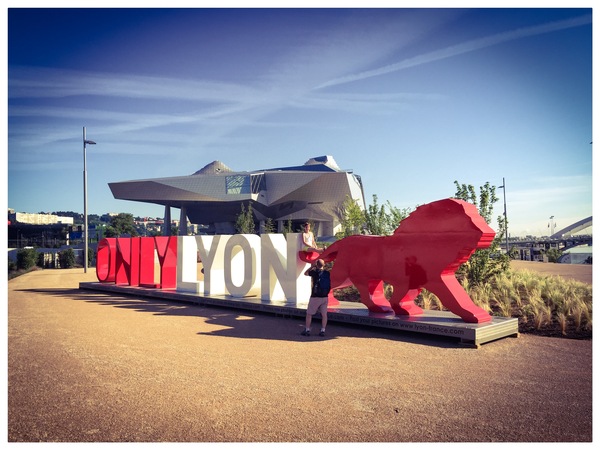 La Sculpture ONLYLYON Au Musee Des Confluences